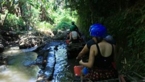 bali quad bike riding tour
