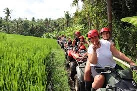 Quad Bike Rice Fields in Bali