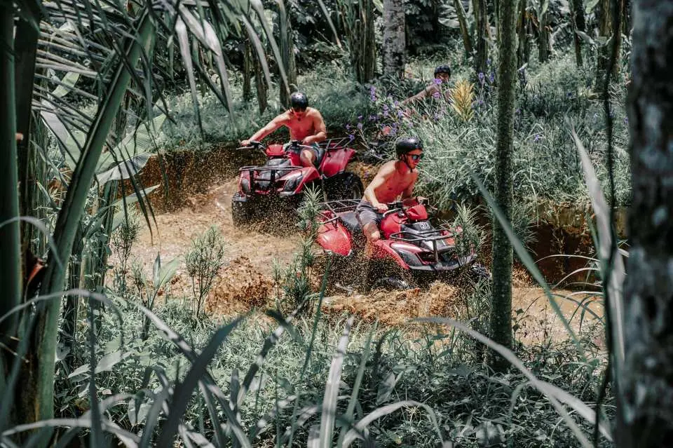 ATV Bali Taro Tour