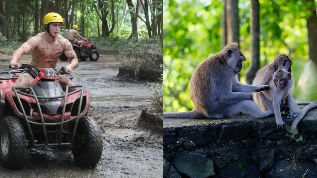 Bali ATV Quad Bike with Monkey Forest