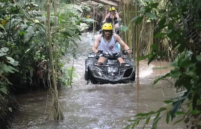 Transition Between Jungle, Mud, and Dragon Cave Sections