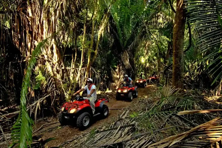 Quad Bike Through Bamboo Forest in Bali
